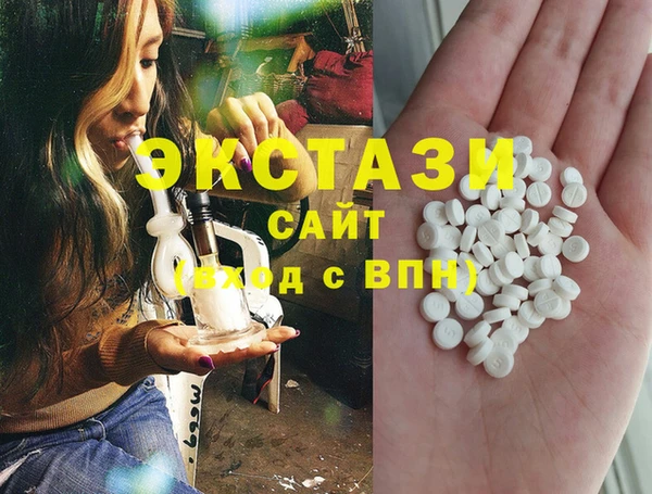 ECSTASY Бородино