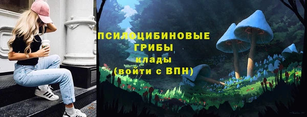 скорость Пересвет