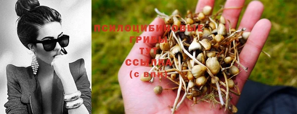 скорость Пересвет