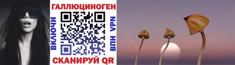 Галлюциногенные грибы MAGIC MUSHROOMS  где можно купить   Разумное 